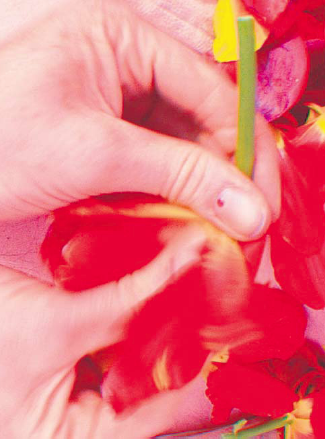 /trichter/buecher/bilder-allgemein/Galerienrundgang_Zuerich/Galerienrundgang_Zuerich_Pipilotti_Rist.png