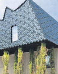 /trichter/buecher/bilder-allgemein/Museum_der_Kulturen_Basel-Haengende_Gaerten.png